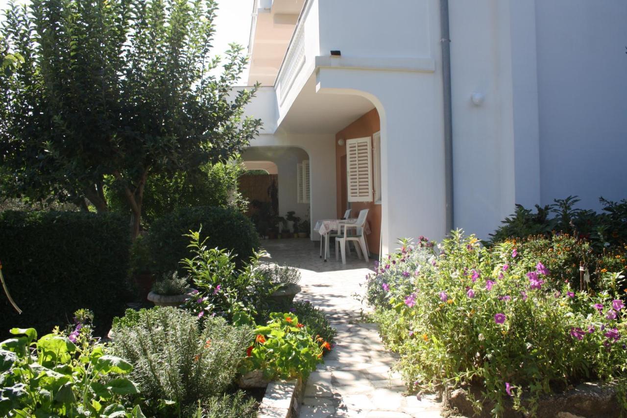 Apartments Sandra Palit Exterior foto